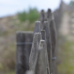 2016-12-10 Bordeaux/Cap Ferret/DSC_0249.JPG